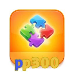pp300